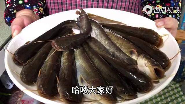 四川特色菜大蒜烧仔鲶老妈的菜加长的胃蒜香鱼美很嫩气好吃