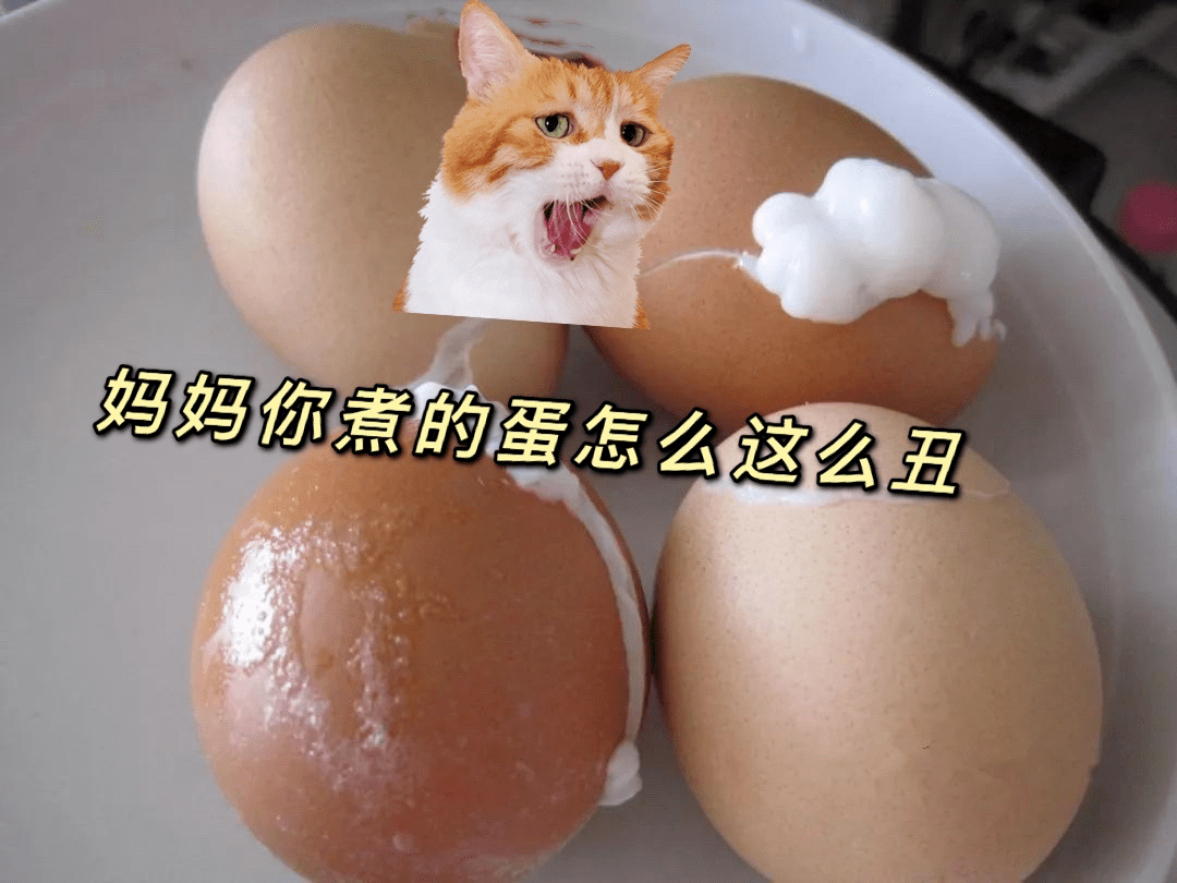 文章配图-9
