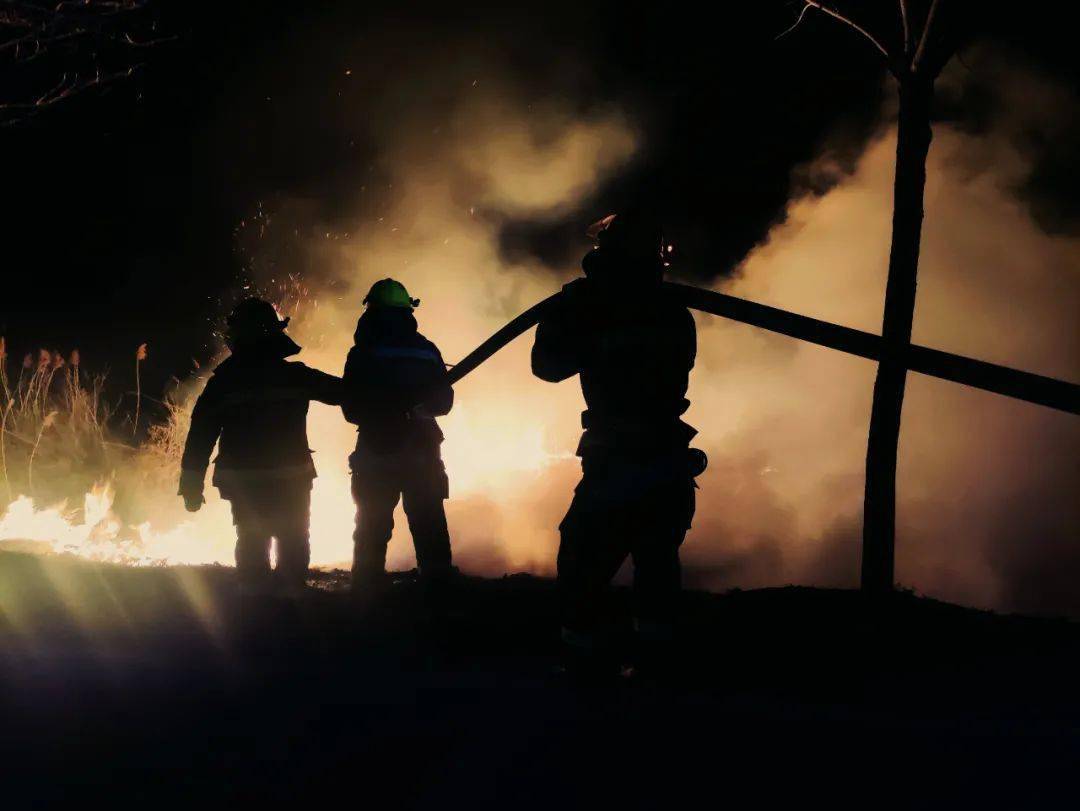 【"最美瞬间榜样在身边"图文展】《森林消防员》《战火海》(组图)