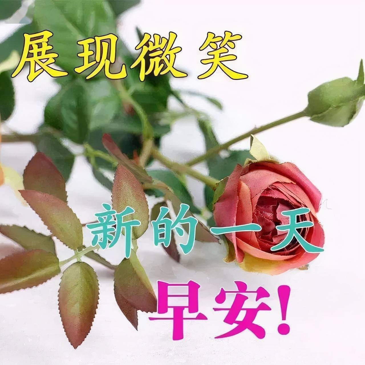 愿我的问候带给你一份好心情愿我的祝福带给你一个新起点早安