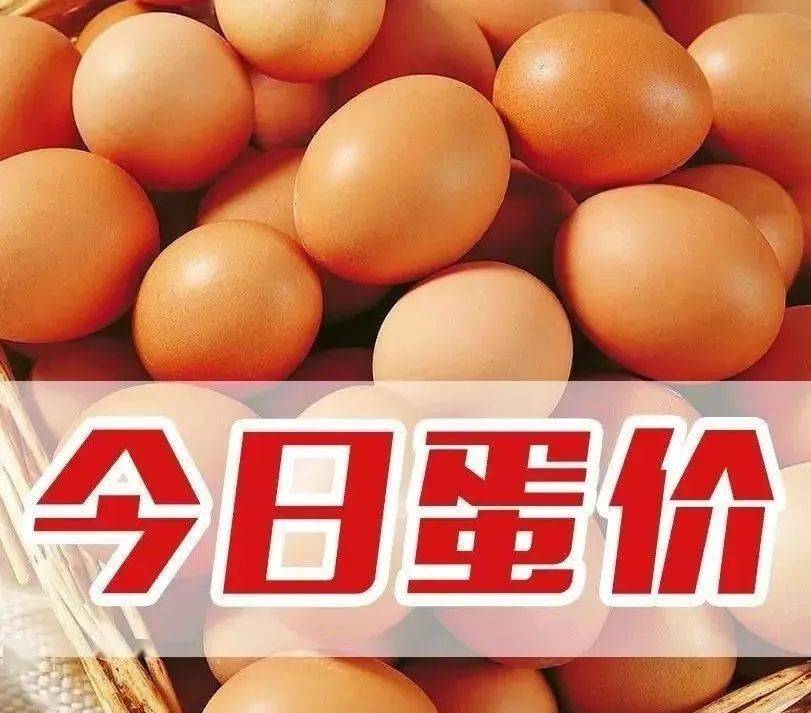 3612d325d3de48ce956a59864e96f20d.jpeg