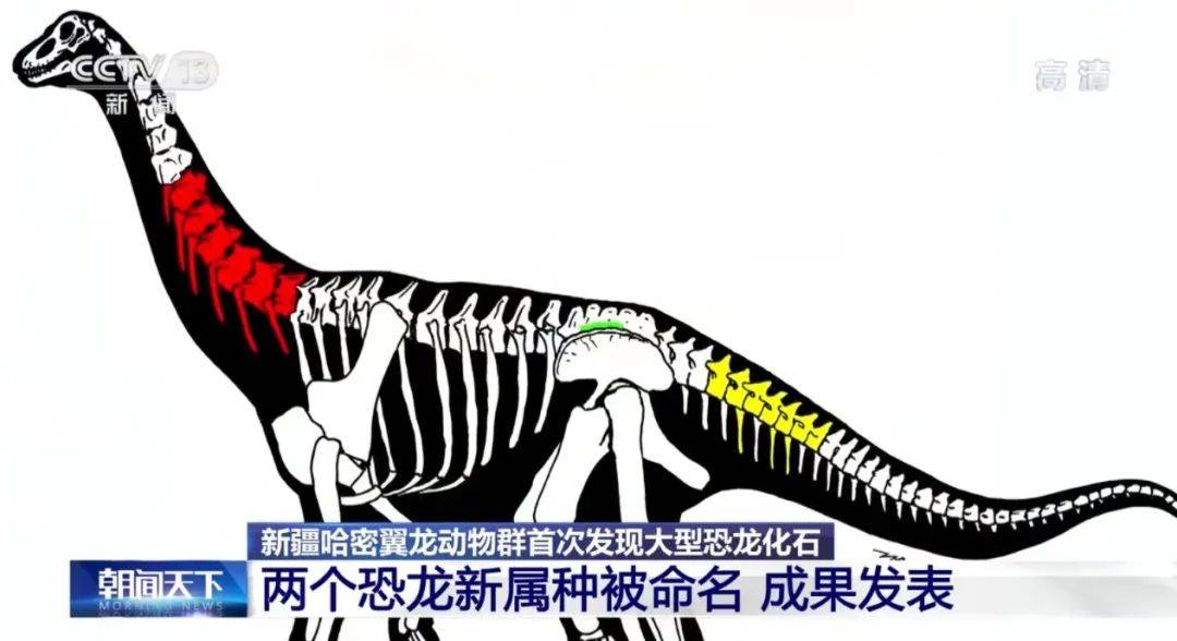 动物群|新疆哈密翼龙动物群首次发现大型恐龙化石！两个恐龙新属种被命名