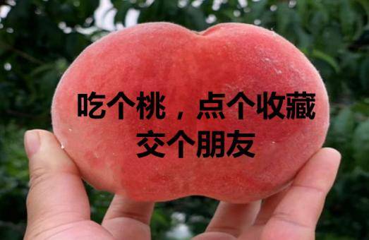 水果|劝你多吃桃子的理由，1个就够了