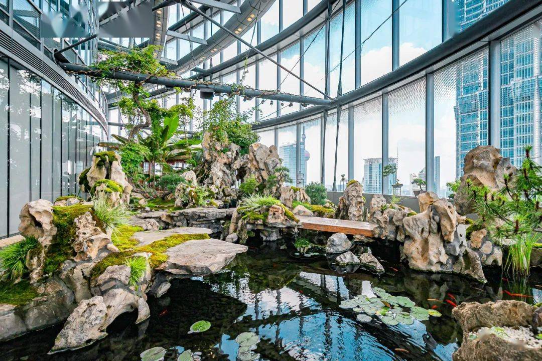 上海中心隐藏玩法大揭秘超全打卡攻略拿走不谢