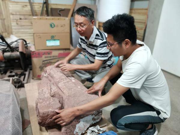 远古|远古发现丨我们在大运河边“修恐龙”
