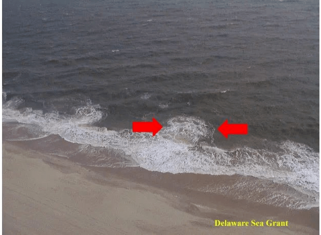 离岸流 9f85ded825e64396a20688e633f66ccc.png