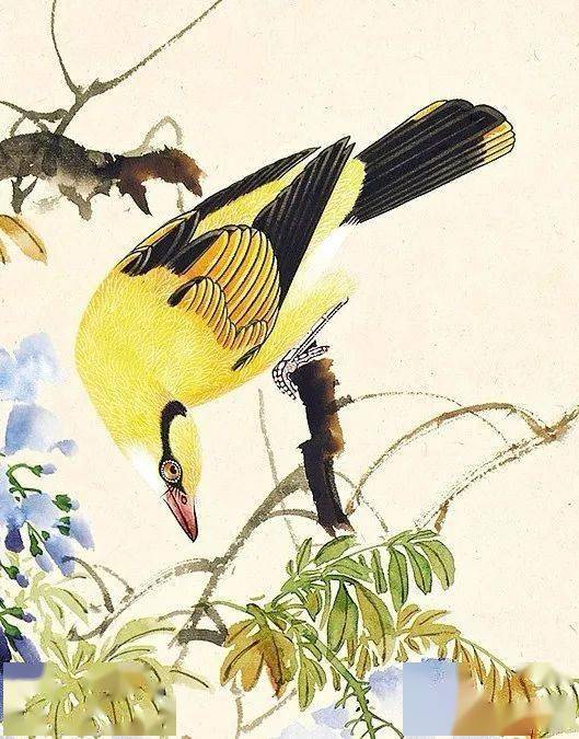 溥佐 笔下的黄鹂,真美_紫藤