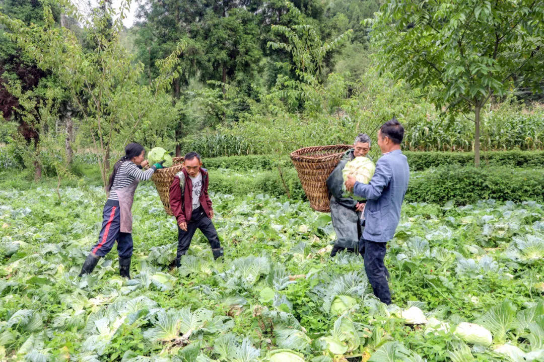 重庆莲花关怀助念团图片