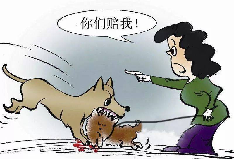 狂犬病人口水会传染吗_科普︱狂犬病的危险被夸大了吗(3)