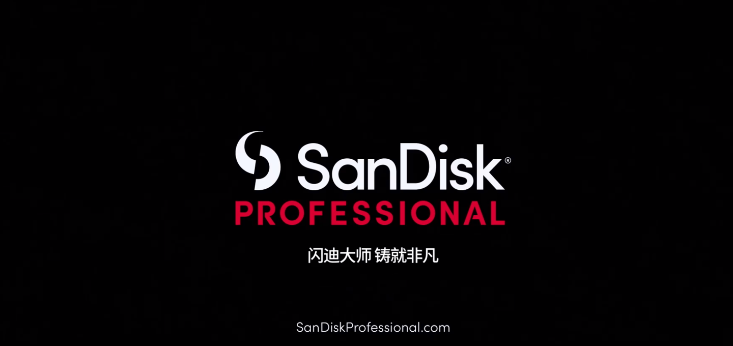 sandisklogo图片