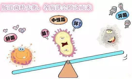 bdf35b156fe243128ef2f5c71b1817cc.jpeg