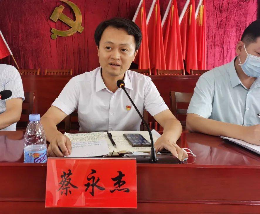 "两委"换届工作会议暨村级党组织换届业务培训会,镇党政领导班子成员