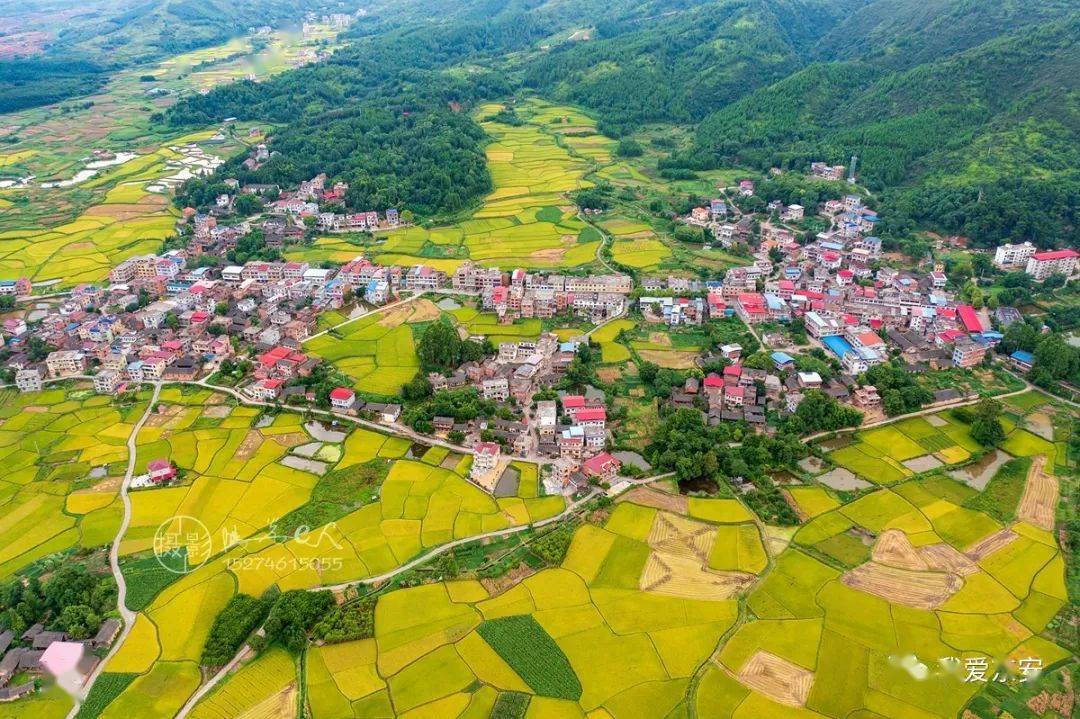 东安县鹿马桥镇金江村田园秋色