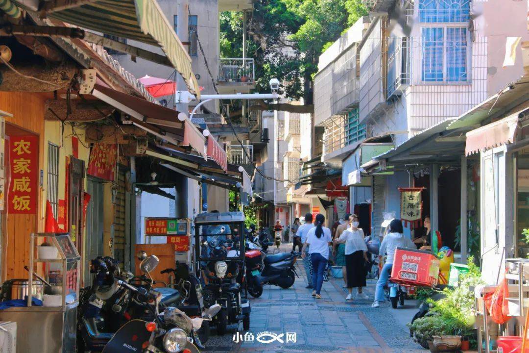 700多年宗族旧事离开家乡下南洋讨生活集美这个昔日小渔村藏着老厦门