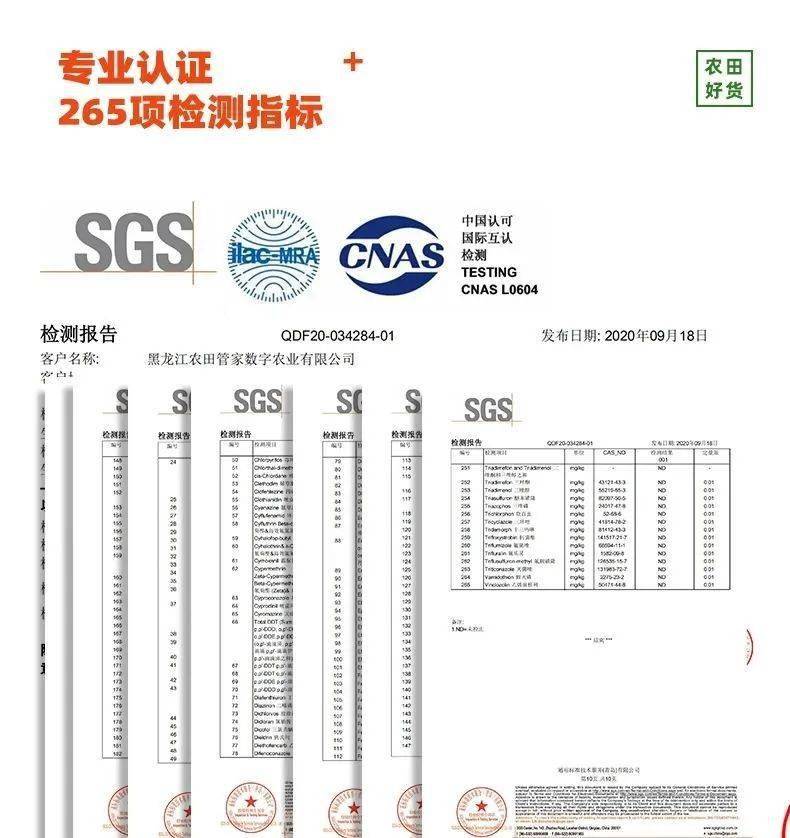 刘占文|太好吃了！过去几十年吃的都是“假玉米”，不愧获得金奖