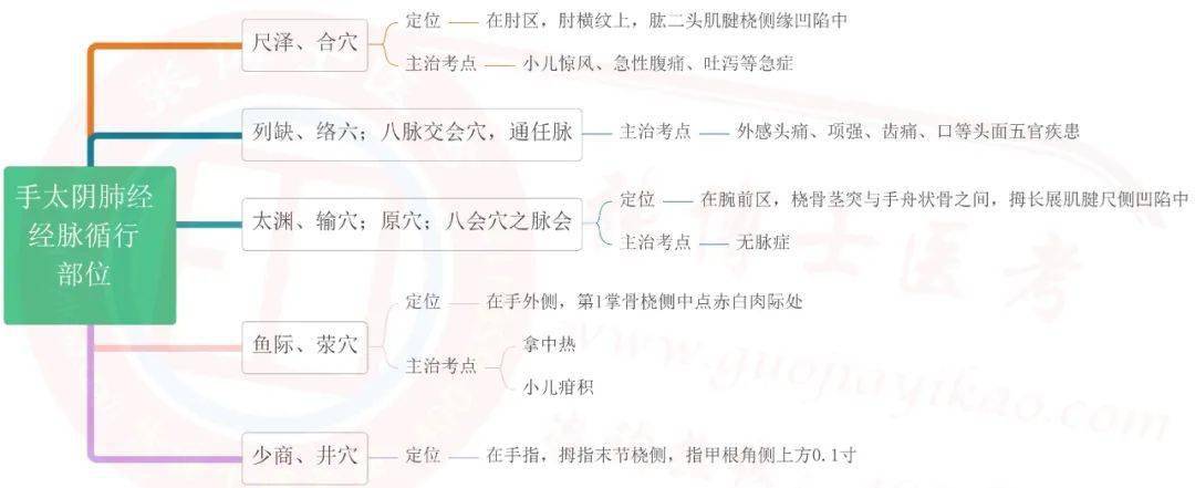 中西医针灸学思维导图