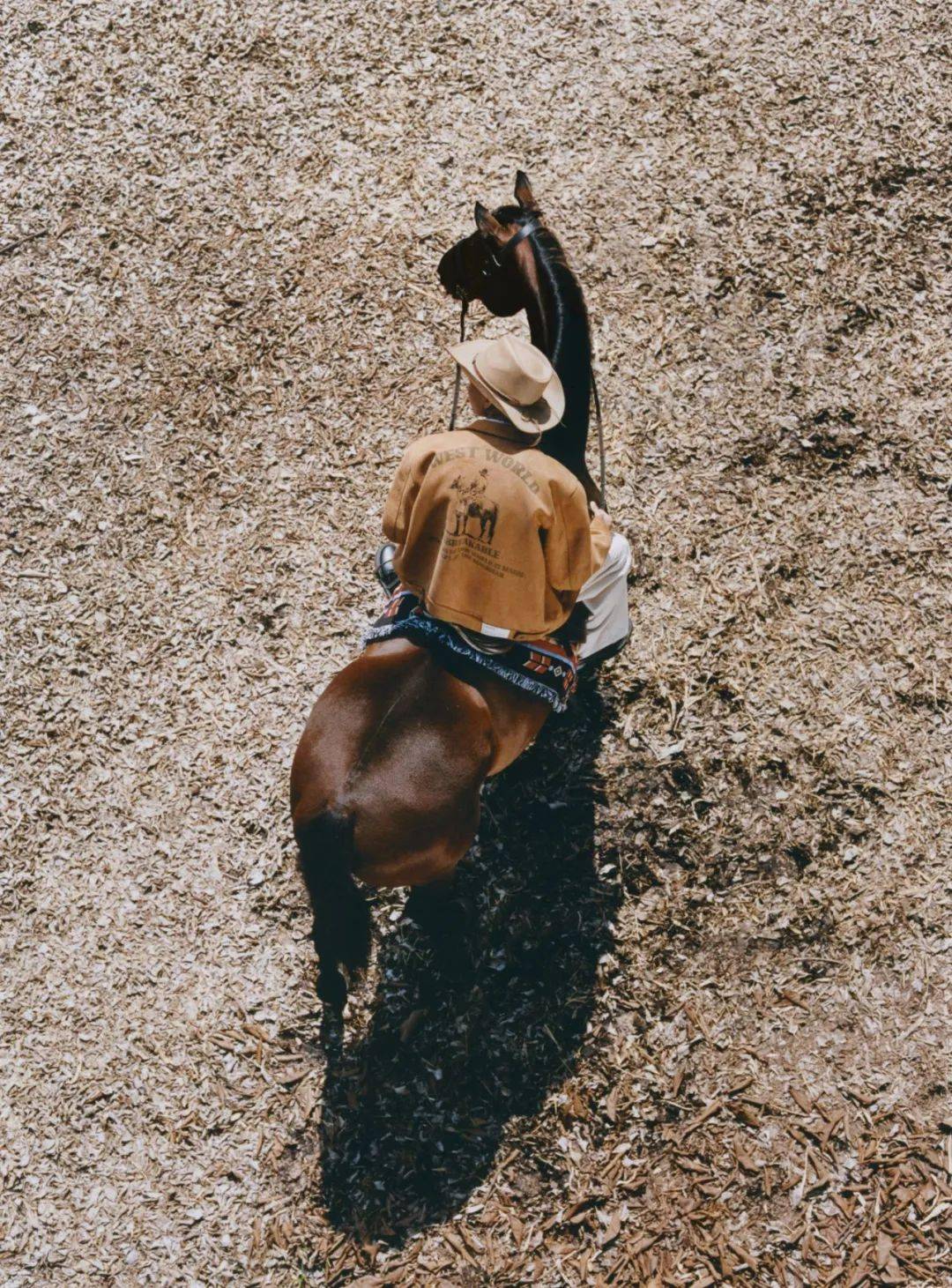 品牌|太格玩选｜10大热门品牌秋冬型录大赏，100套造型带来100种穿搭灵感