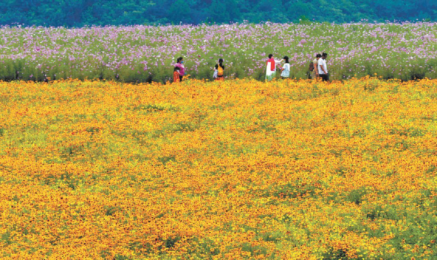 夏末,石景山区五里坨浅山区的天泰山南麓迎来不少游客