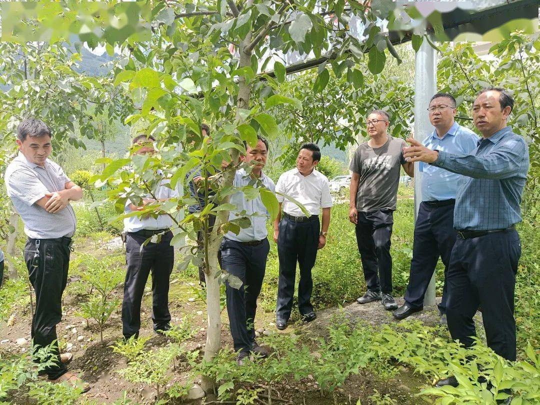 县政府副县长代松,县农业农村局,县林草局,县农文旅投公司及相关乡镇