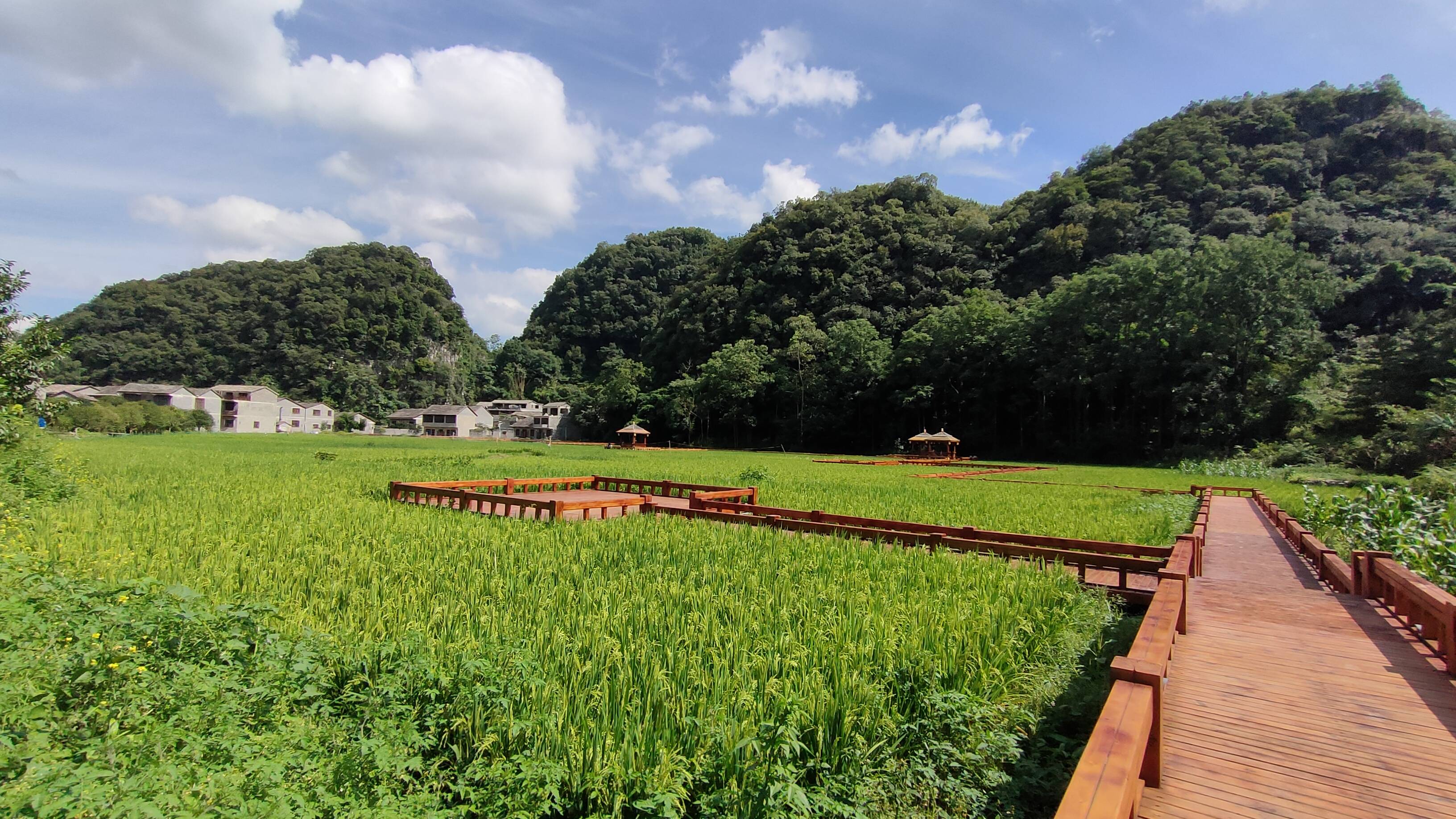 穗安协作专栏镇宁高荡村广东资金助力千年布依古寨换新颜