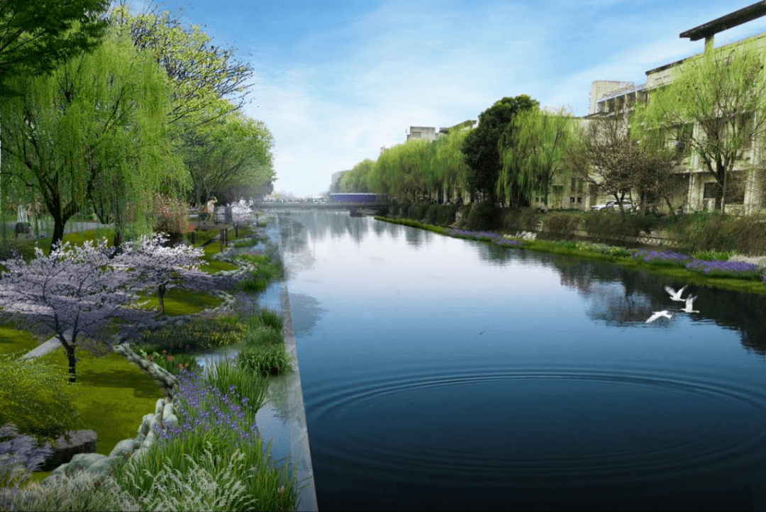 水下森林,彩虹橋,櫻花步道……錢塘這兒有點膩害~_景觀