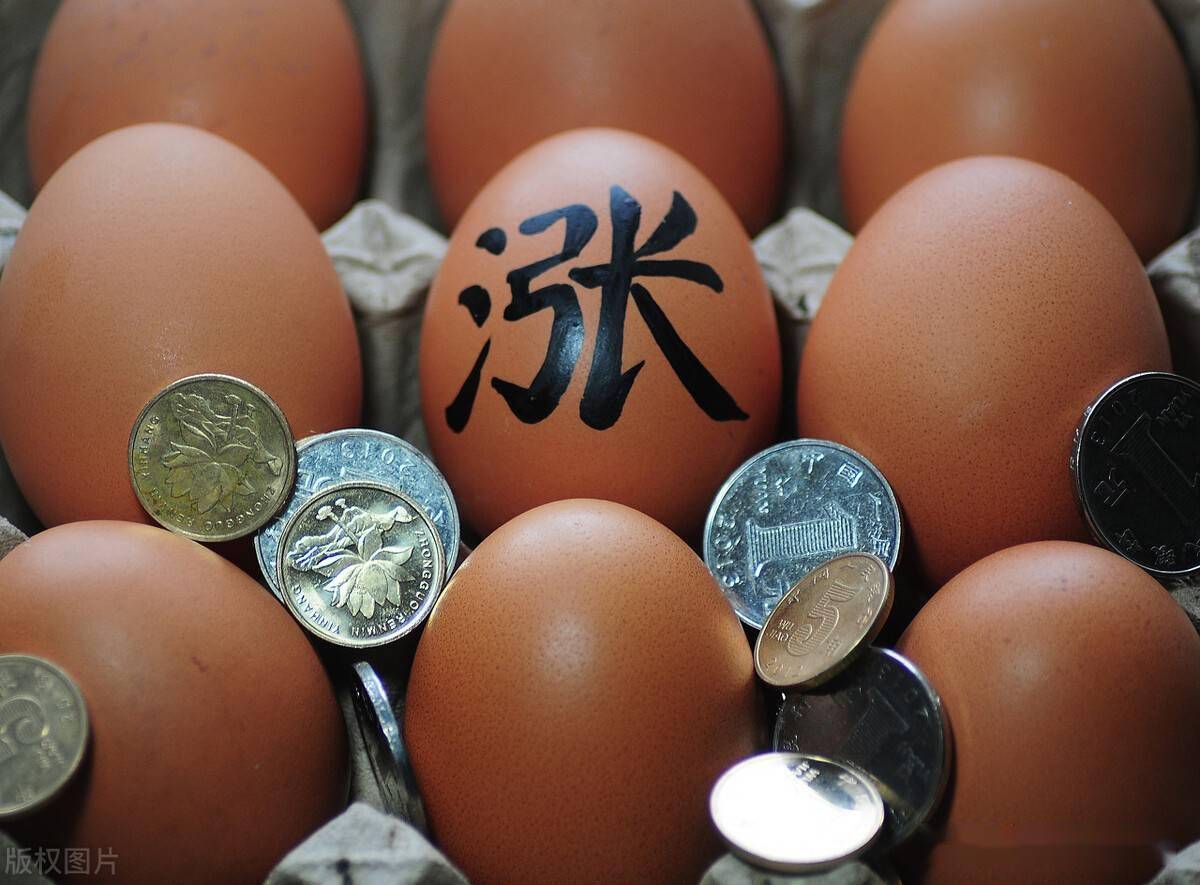 鸡蛋价格湖南 22a5d72b1f42476cb7e2100fe4e7e472.jpeg