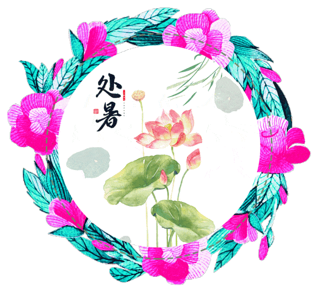 640_587gif 动态图 动图