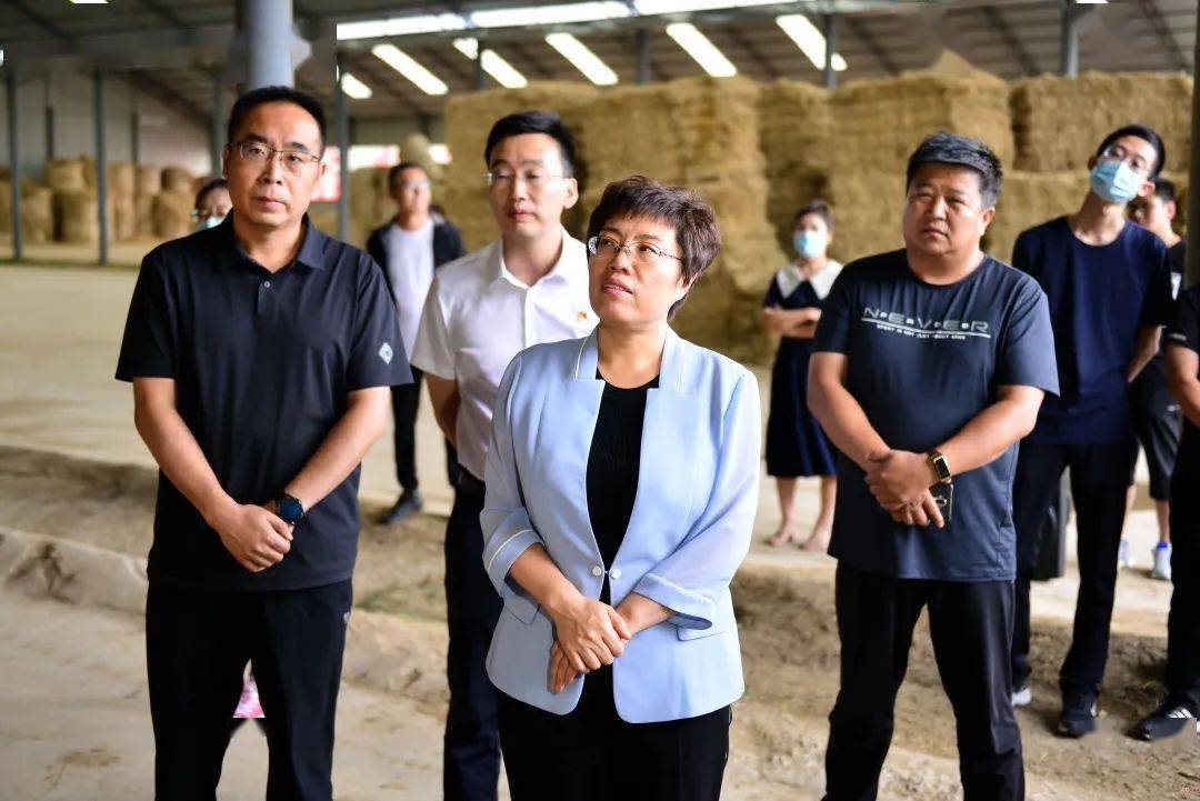 吴秀玲在平鲁区开展乡村振兴问计问需活动