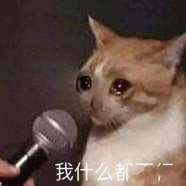 a4fc647b50c14822b6bf1e00b5533284.jpeg