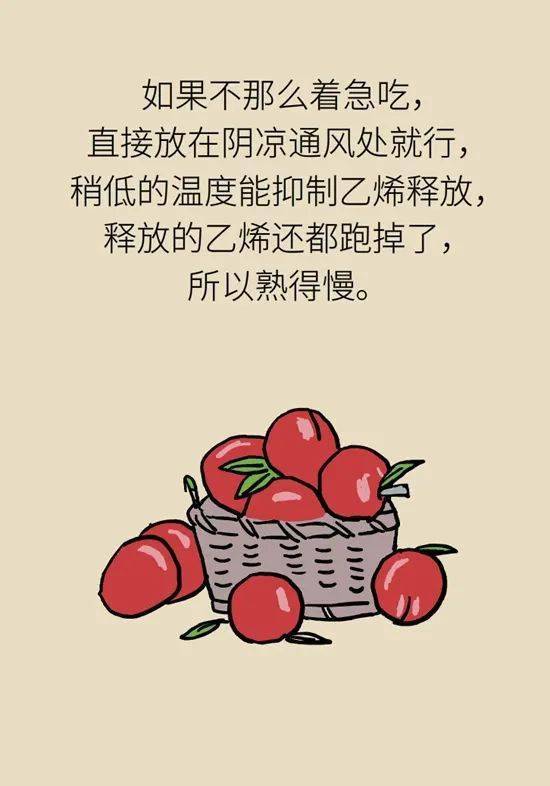 成语桃什么吃_成语故事简笔画(4)