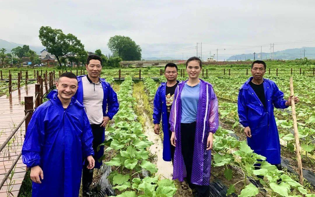 【学习强国】光泽县油溪村:五大振兴协同发展 打开村庄振兴之锁