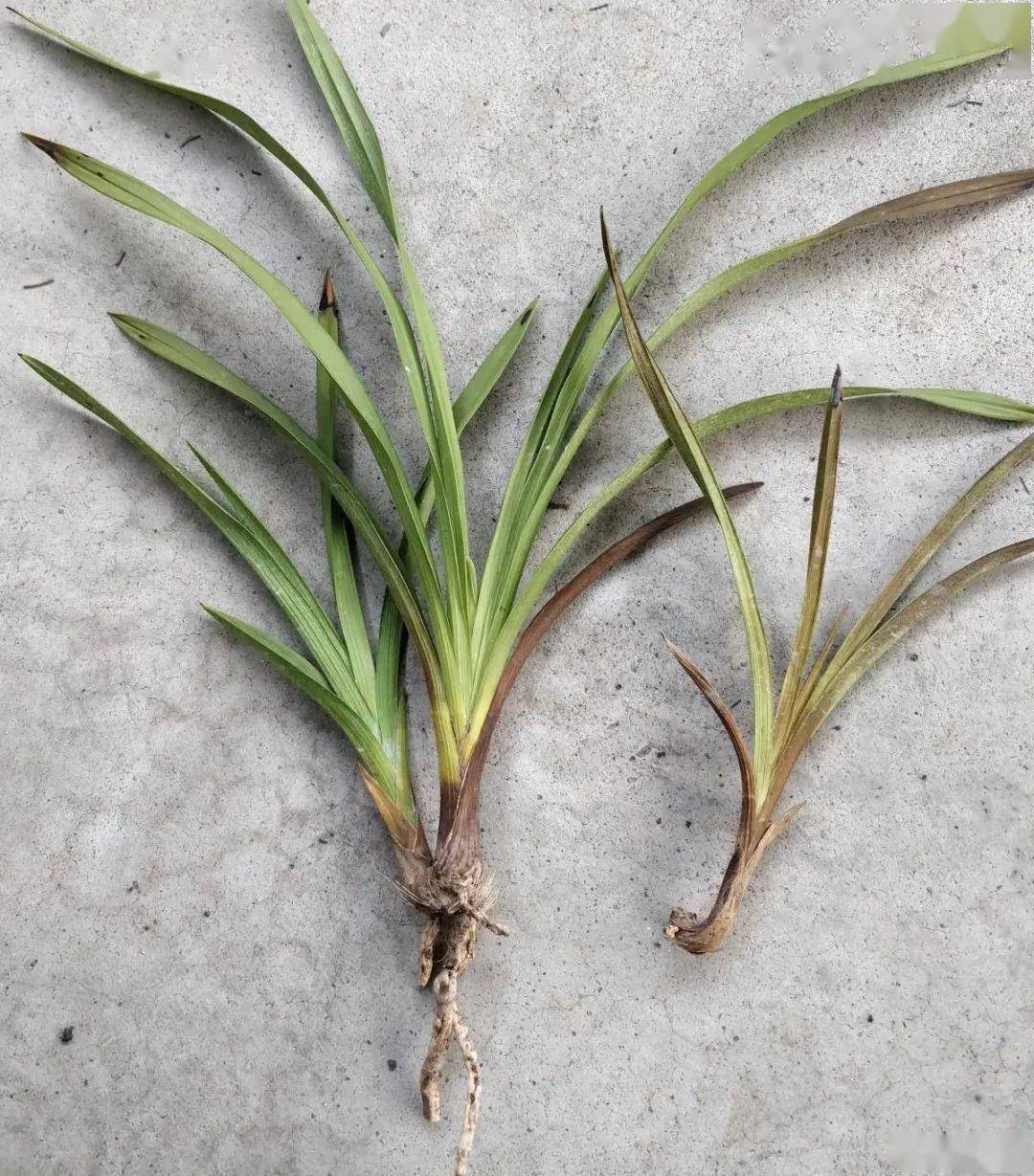 3a9315e721a94951bb26cffef179e531.jpeg