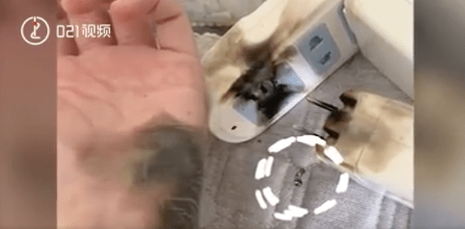 插座|女子这样拔插头，引发爆炸！手掌黑了一大片、还有焦味