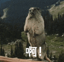 病例|警惕！宁夏一患者确诊鼠疫，病情危重……带菌者大家都很熟悉→