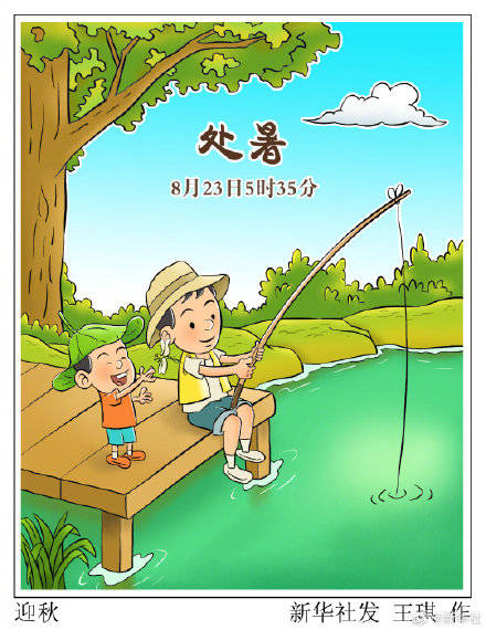 莲藕|明天将迎来处暑节气