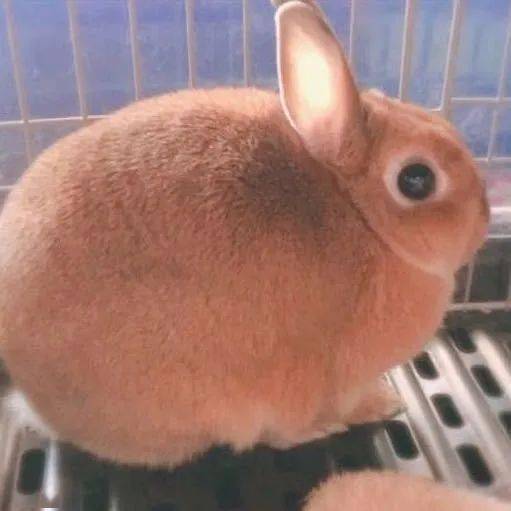 头像|今日头像 | 我想在大地上画满窗子
