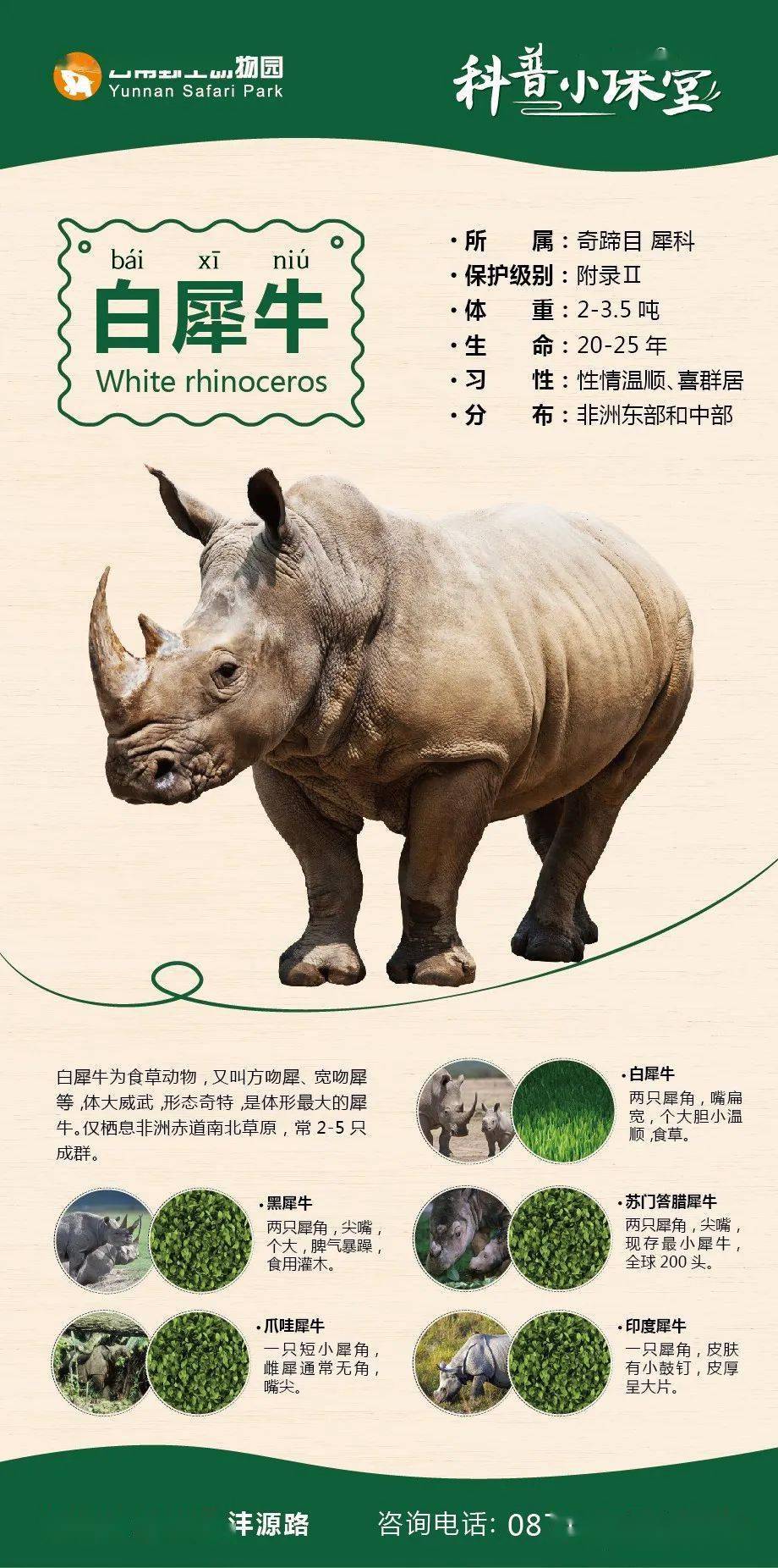 万万没想到你竟然是这样的犀牛