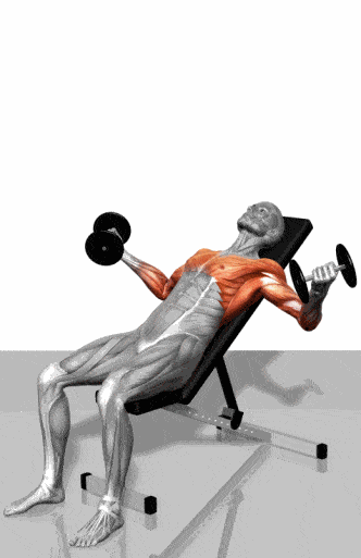 f0bdde425eeb4faa8ebfffbc606237b9.gif