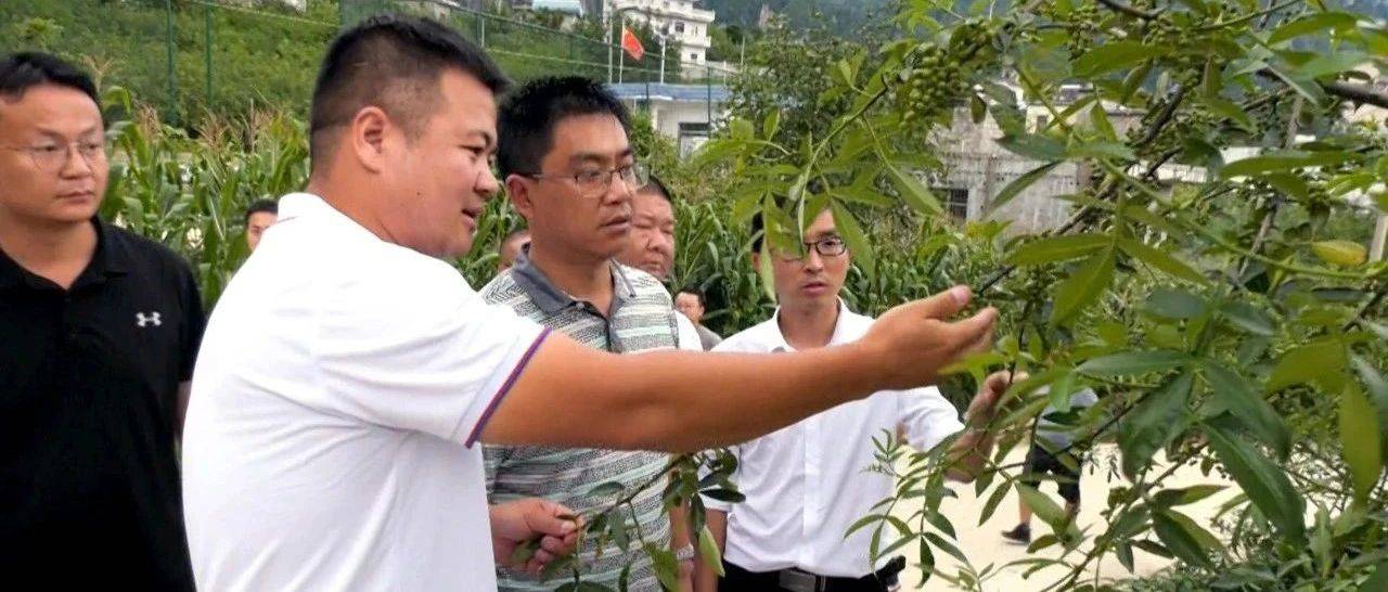 杨绪春到梭山镇调研产业发展和乡村振兴工作_建设