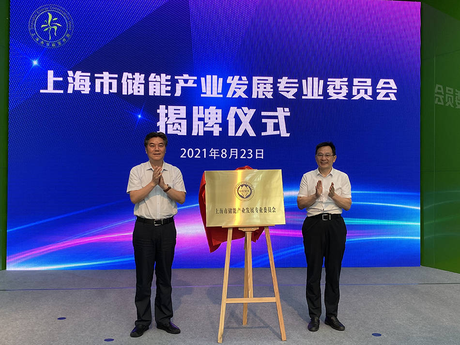 宣传周|节能宣传周开幕，上海市储能产业发展专业委员会揭牌成立