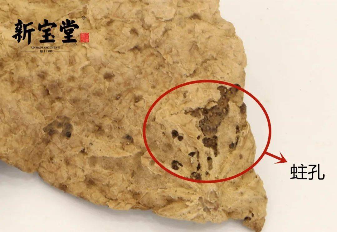 虫蛀是蛀虫蛀食陈皮"橘白"形成隧道,然后到外皮穿孔,最后变成蛀粉的