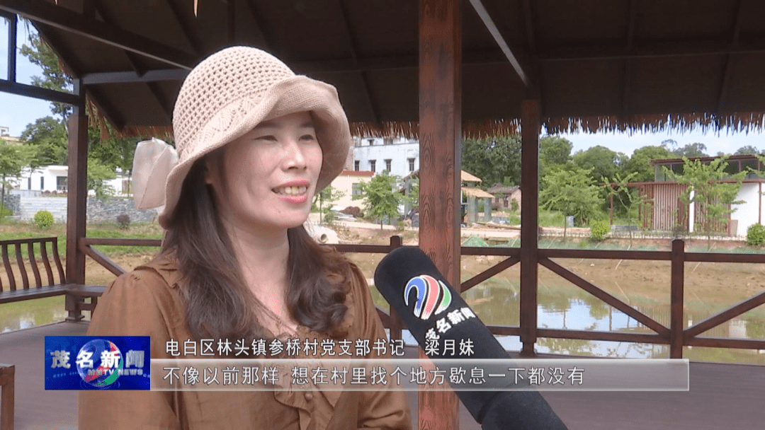 电白林头:"走听看想比" 全力打造乡村振兴"林头样板"_林头镇