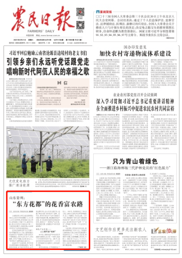 农民日报头版点赞青州 东方花都 的花香富农路 花卉