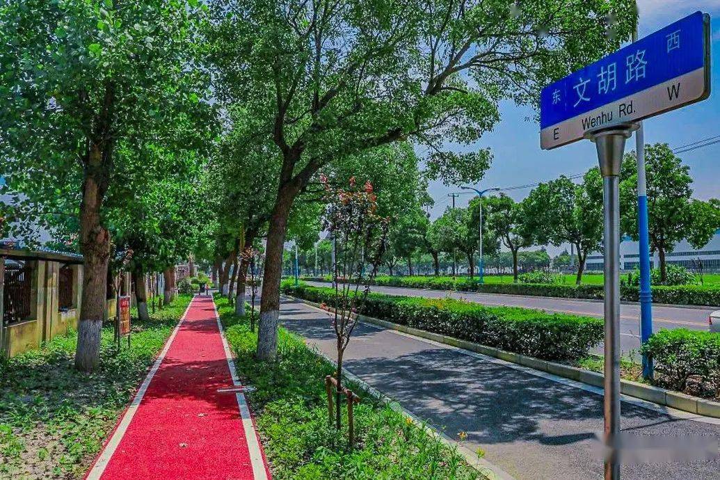 【便民】松江新增8条绿道,总长19.7公里