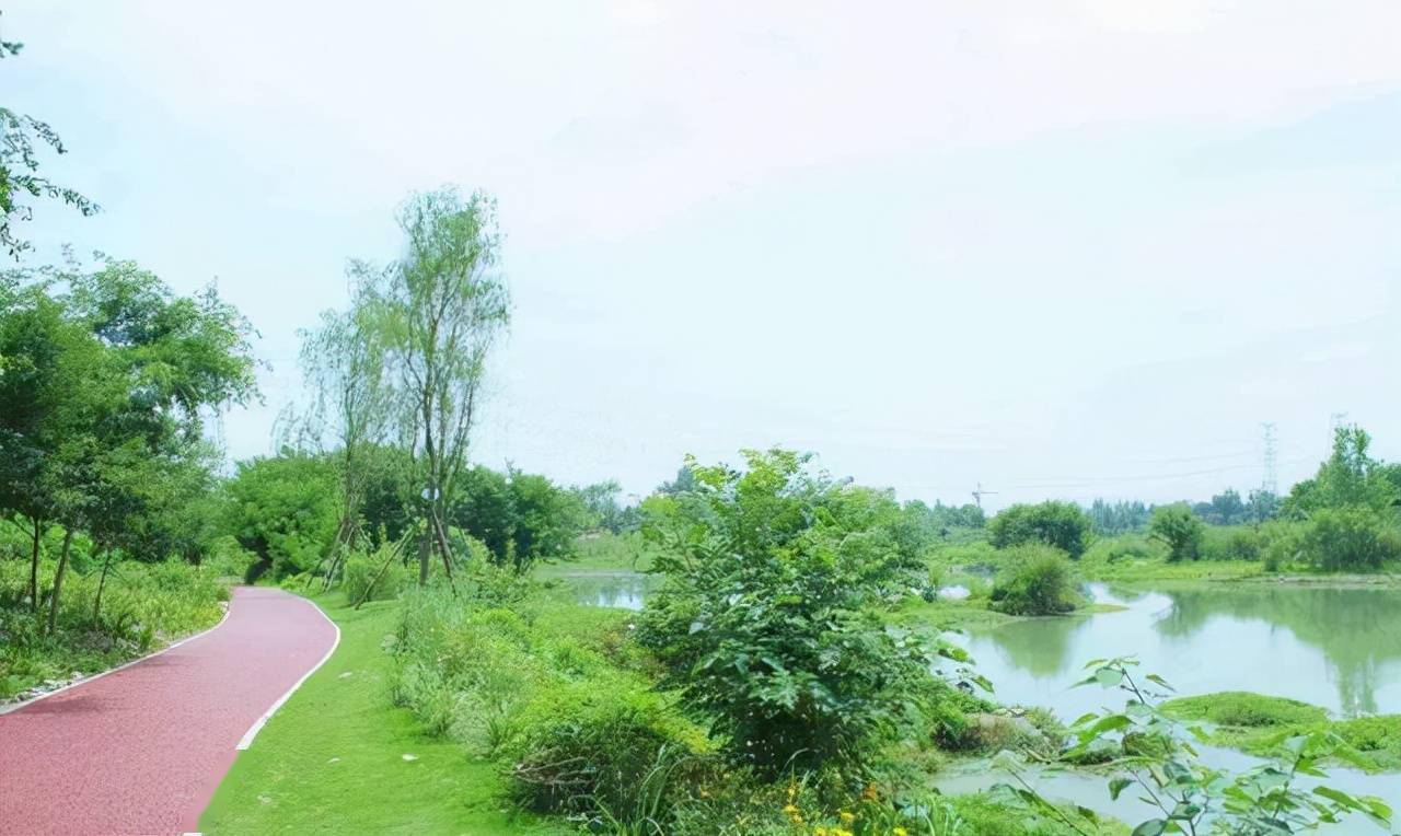 「鲁家滩」水清岸绿,风景如画_温江