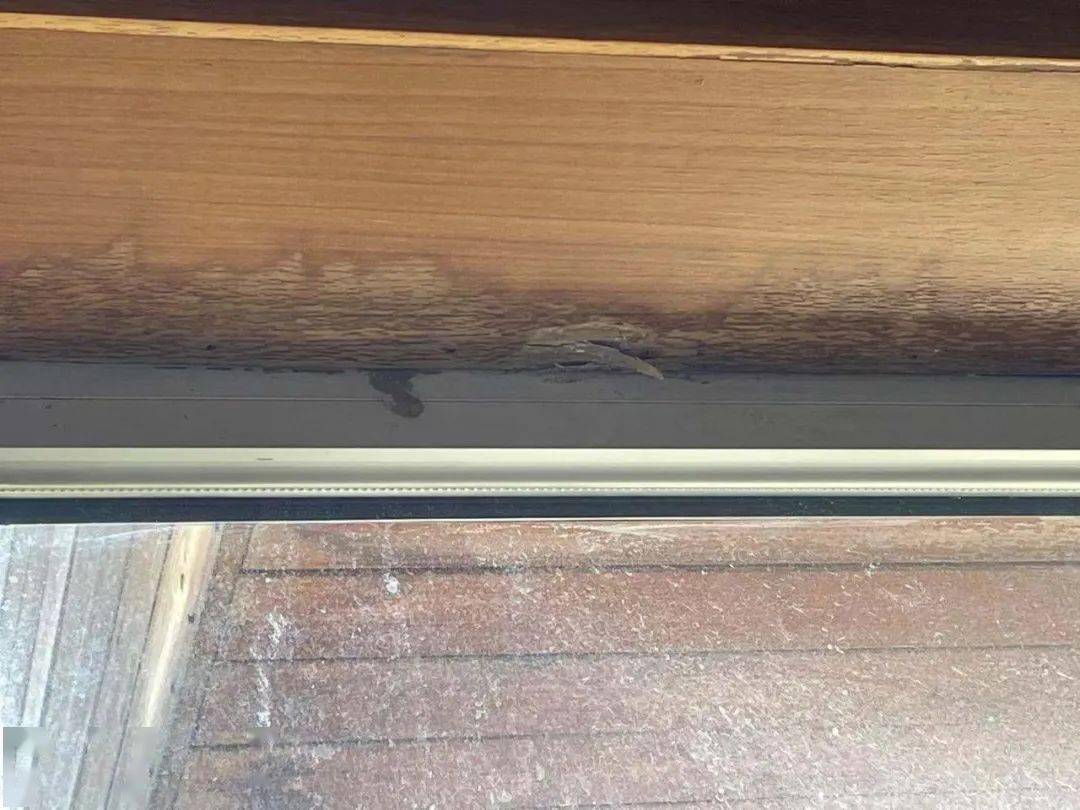 朝青这个小区漏雨15年 年年修 一直漏 外面大雨 屋里小雨