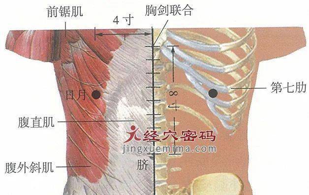 按揉一个穴位，保护胆囊，预防胆结石