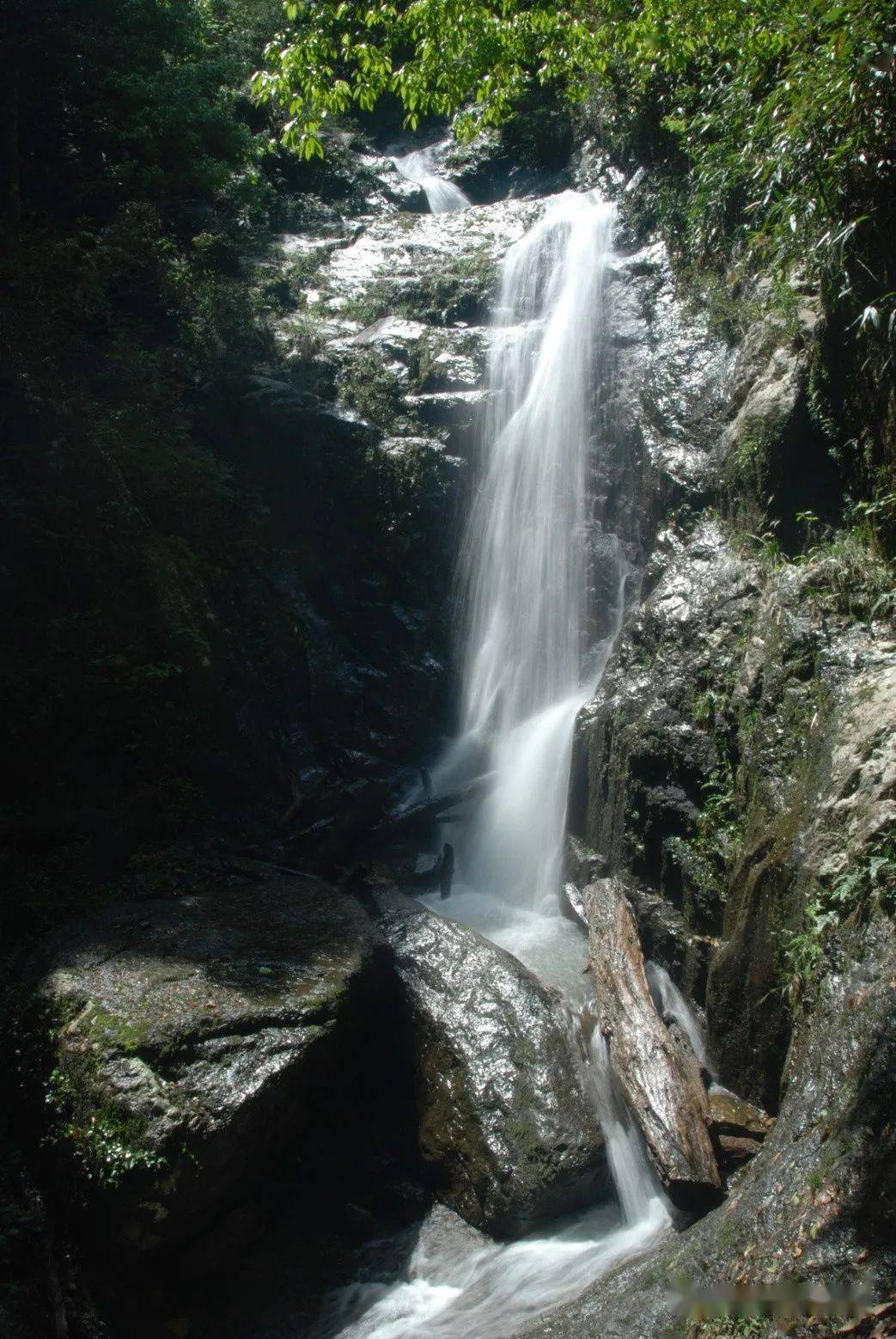 暑假倒计时 | 您的安远三百山旅游福利未接收,请速速查收!