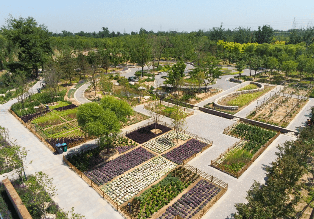 朝阳民生美景正当时快来北京朝阳亲河湖享自然吧