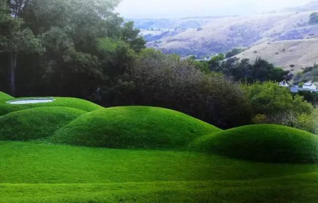 软景微地形植物配置护坡